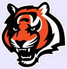 Cincinnati Bengals in Chicago