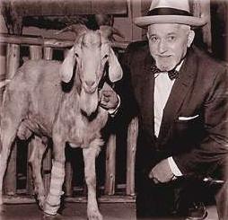 Wrigley Field Billy Goat Curse