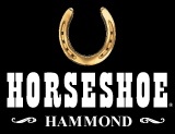 HorseshoeLogo