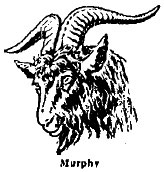 Billy Goat Tavern Murphy