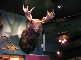 Will's Northwoods Inn Chicago Moose