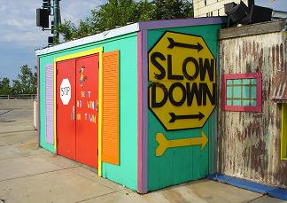 Slow Down! Life's Too Short Color